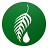 Melaleuca - YouTube